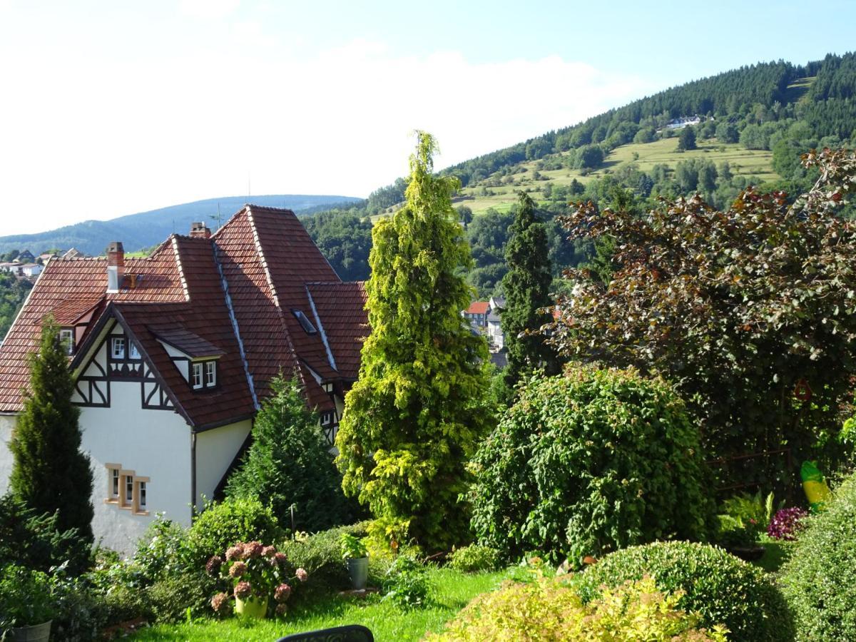 Ferienwohnung Panorama Rauenstein Ngoại thất bức ảnh