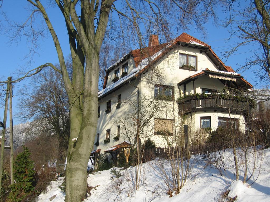 Ferienwohnung Panorama Rauenstein Ngoại thất bức ảnh