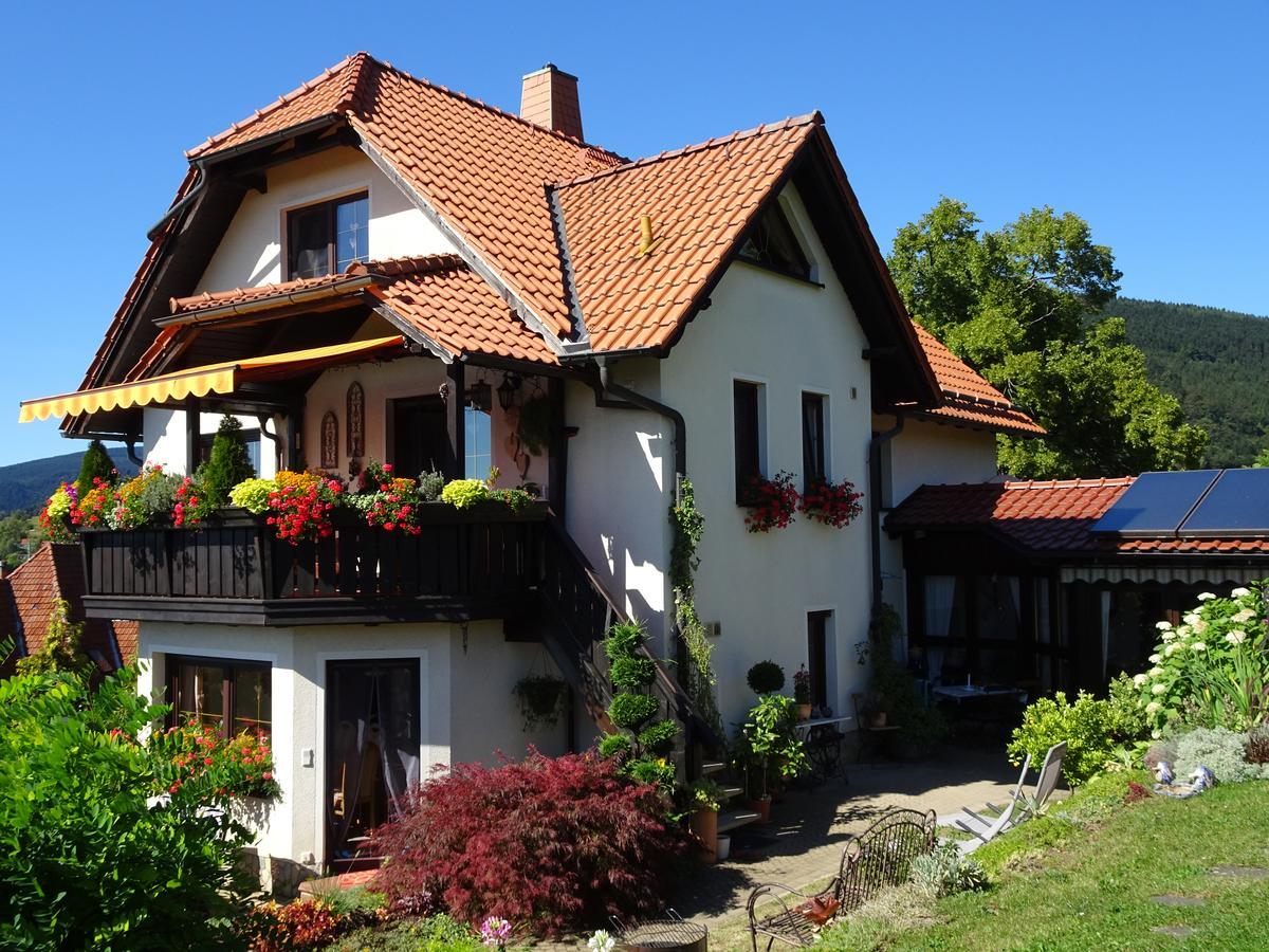 Ferienwohnung Panorama Rauenstein Ngoại thất bức ảnh